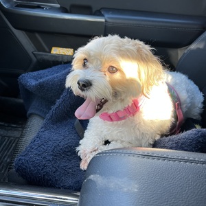 Fundraising Page: Lauryn Oleary